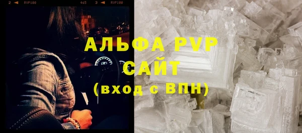 индика Володарск