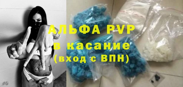индика Володарск