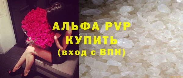 индика Володарск