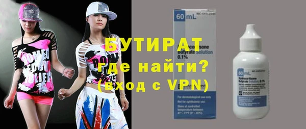 индика Володарск