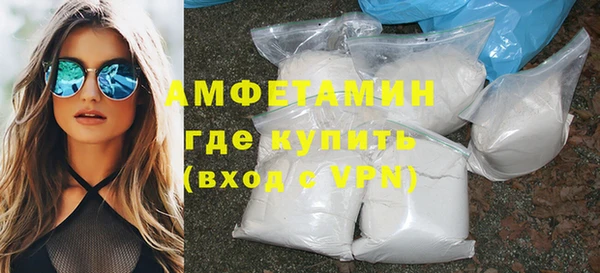 индика Володарск