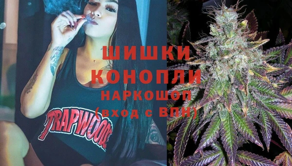 индика Володарск
