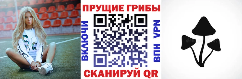 Псилоцибиновые грибы мицелий  darknet официальный сайт  Отрадное 