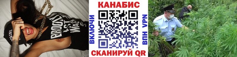 Канабис индика  Отрадное 